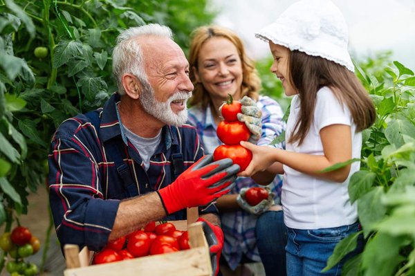 Les accessoires pratiques pour une cuisine bio et naturelle