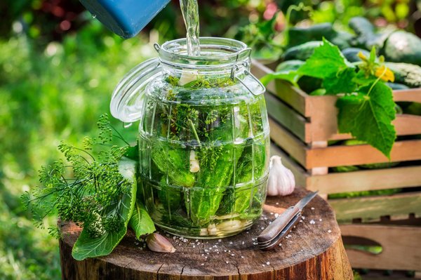 Bocal sous vide : une consommation responsable de vos aliments
