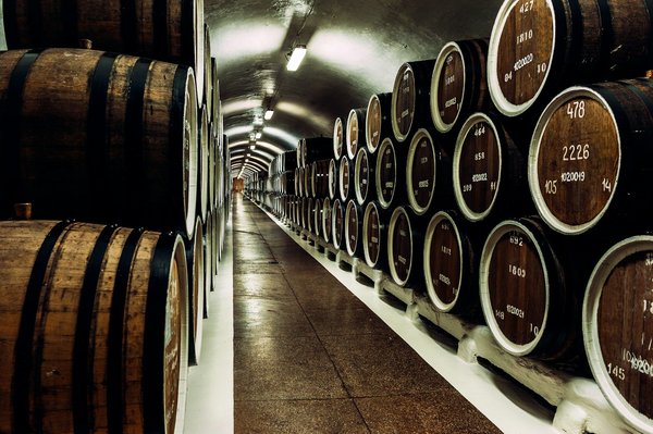 Les différents types de cave à vin Liebherr